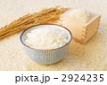 米とご飯