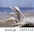 2924724