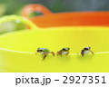 2927351