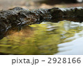 日本