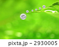 エコワールド