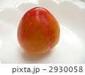 プラム