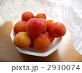 窓辺のプラム