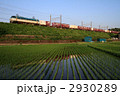 貨物列車