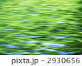 新緑の水面