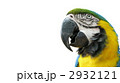 2932121