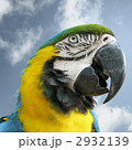 2932139