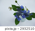 山紫陽花を生ける
