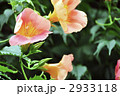 2933118