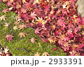 2933391