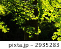 木陰