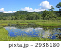 尾瀬の風景