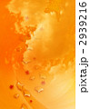 2939216