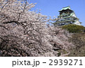 大阪城と桜