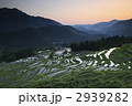 丸山千枚田