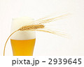 ビールと麦