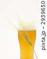 ビールと麦