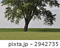 2942735