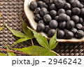 丹波の黒豆