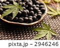 丹波の黒豆