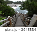龍王岬から見た桂浜 の写真素材