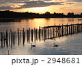 多々良沼の夕暮れ