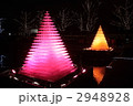 国営昭和記念公園のクリスマス