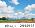 北海道の白い雲と青い空