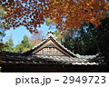 犬山寂光院の秋