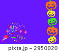 2950020