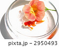 円いガラス鉢の中の赤い金魚と１輪の花