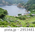 入り江風景