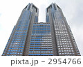2954766