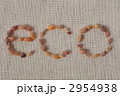 貝殻のecoイメージ