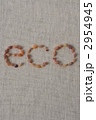 貝殻のecoイメージ
