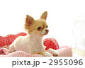 あのね。。。