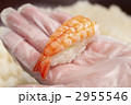 調理用手袋で握る寿司