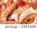 湯で上がった寿司ネタ海老