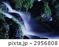 夜の貴船川の流れ