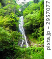 丸神の滝（縦）