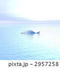 魚
