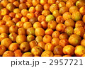 梅干し