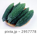 ゴーヤ