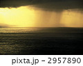 父島／海に降るスコール