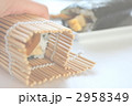 恵方巻き
