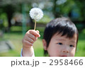 綿毛を持つ男の子