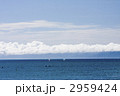 夏の海