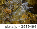 2959494