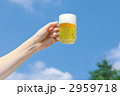 2959718