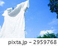 2959768